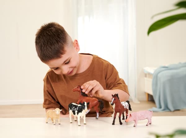 Farm Animal Svin