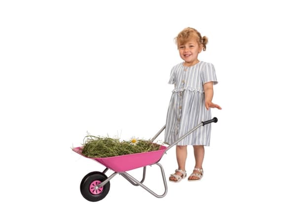 rolly toys rollyMetallschubkarre, 30 månad (er), 1 hjul, Rosa, 2 kg