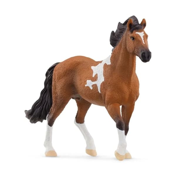 schleich® HORSE CLUB Mangalarga Marchador Hingst 13978