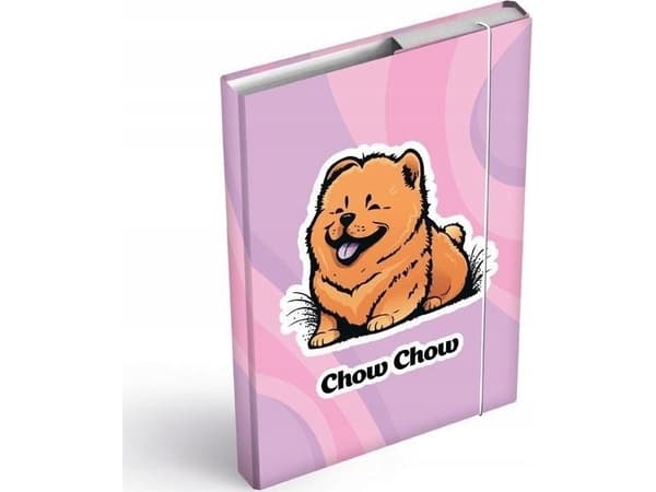 MFP-paperilaatikkokansio kuminauhalla A4 Chow Chow 8021069