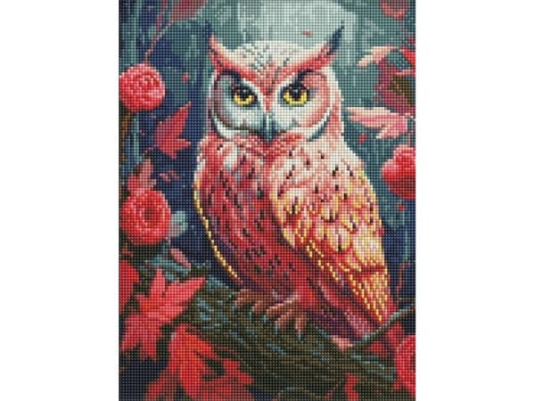 Ideyka Diamantbroderi med ram Diamantmosaik 30x40cm Färgglad uggla med AB-kristaller