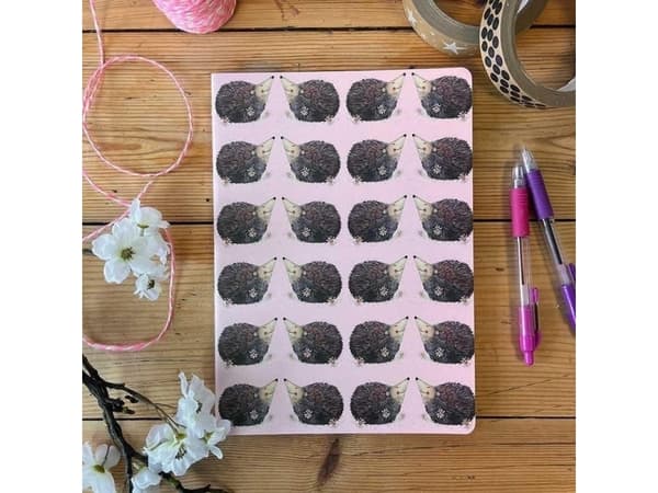 Notebook B5/40K line SNL15 Glade pinnsvin |