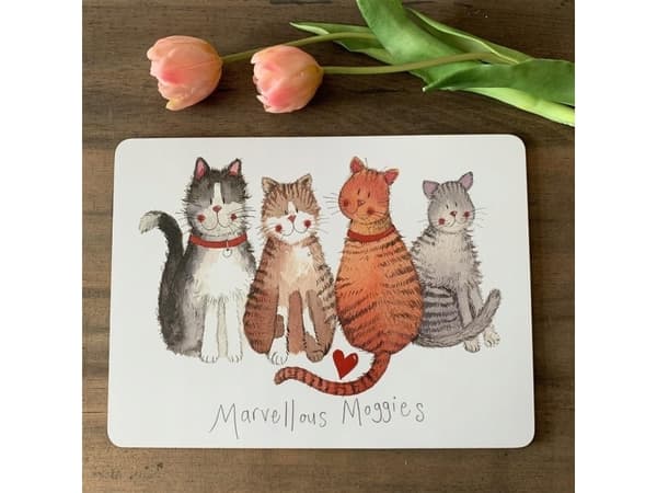 Teka Plattdyna MT06 4 katter