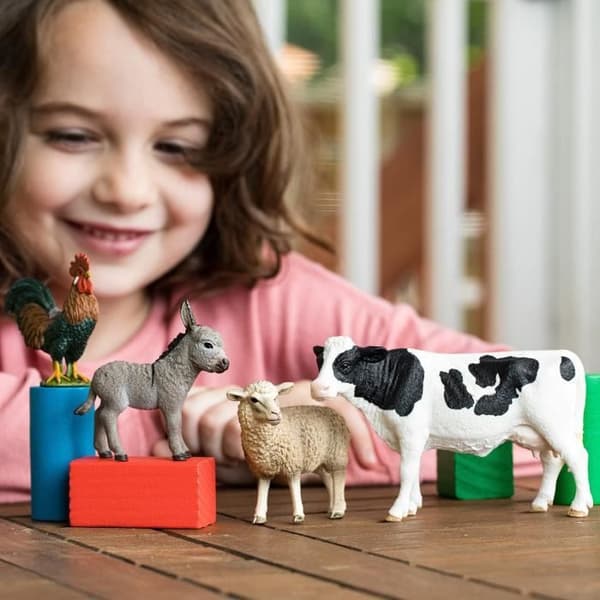 SCHLEICH Figur - Farm World Basic Kit - Farm Animal - Grå - Barn 3 år och uppåt