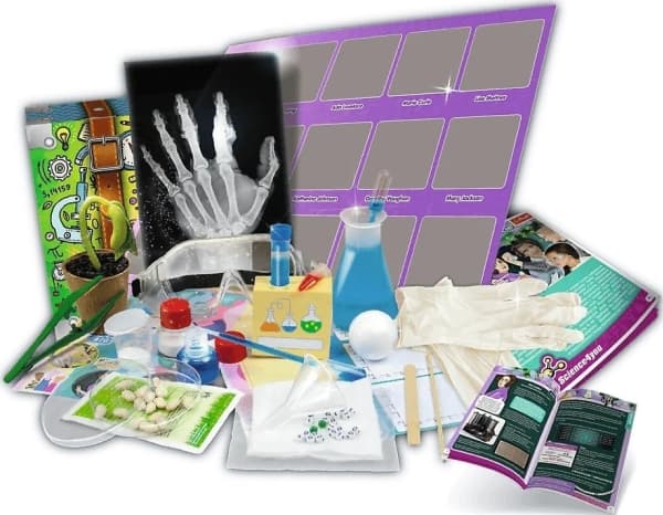 Science 4 You - Women in the World of Science TREFL