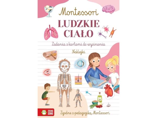 Vihreä Pöllö Montessori Ihmisen keho 97057