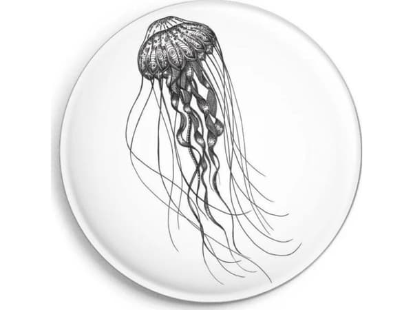Magnes Medusa