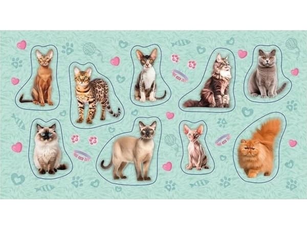 Cat 2.0 -tarrat
