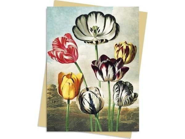 B6 Tulpaner Floratemplet kort