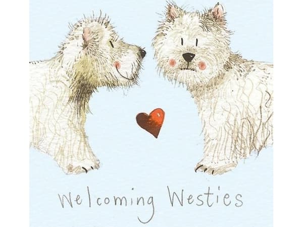 Magnes FM10 West Highland white terrier