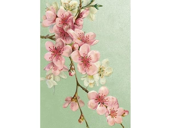ST471 B6 kort + konvolutt Cherry Blossoms