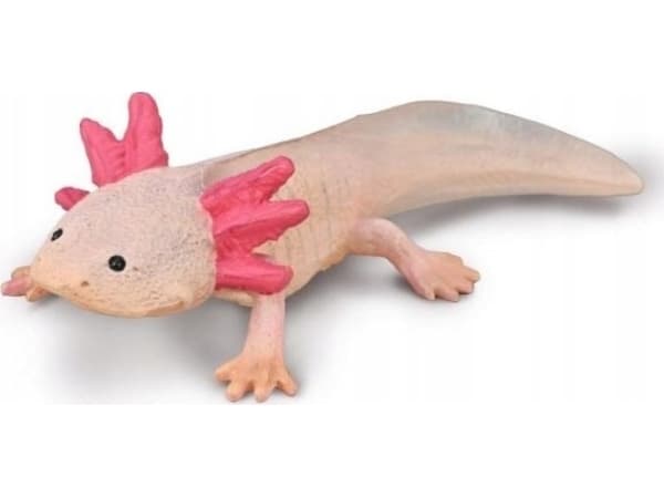 Figurka Collecta COLLECTA AKSOLOTL