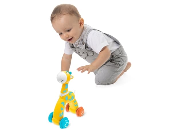 Chicco Classic Girafe Push&Go, 12 kuukautta, 4 pyörää, monivärinen