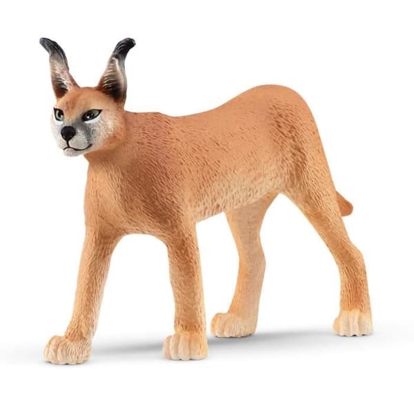 SCHLEICH - Caracal hona - 14867 - Räckvidd: Vilda liv