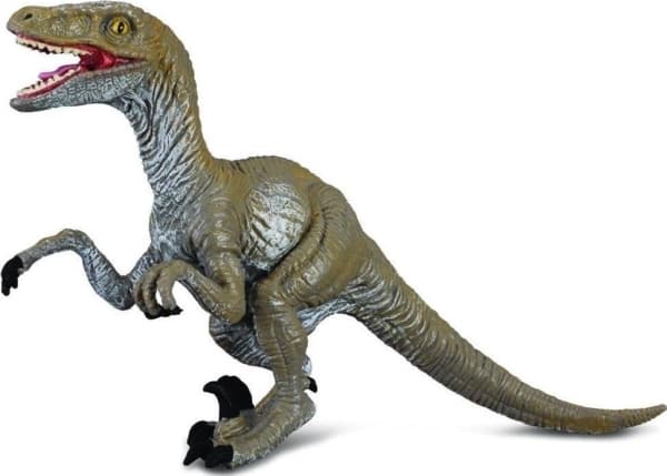 CollectA Velociraptor M toy