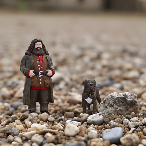 Sats med figurer Harry Potter Hagrid & Fang