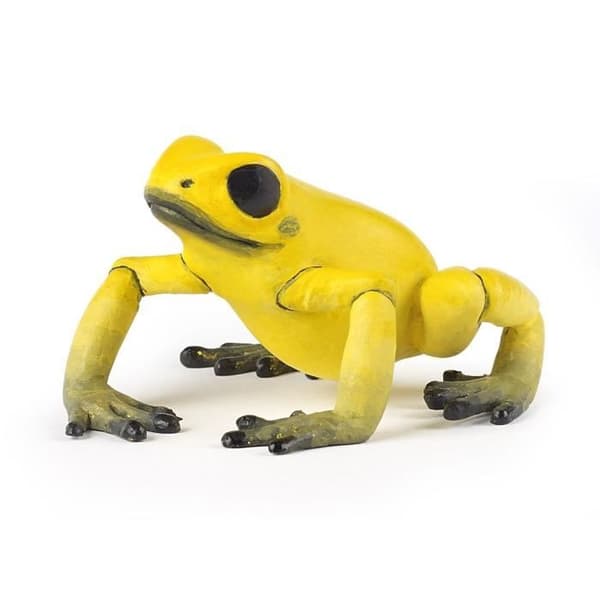 Ekvatorialgrodafigur - PAPO - WILD LIFE - Gul - Inomhus - Barn - Blandat