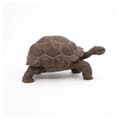 Miniatyrbild 5 av 6: Galapagos sköldpaddsfigur - Papo - Wild Life Collection - Leksak för barn från 3 till 10 år gamla