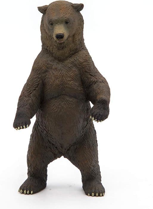 Grizzly Figurine - PAPO - WILD LIFE - Inomhus - Blandat - Barn