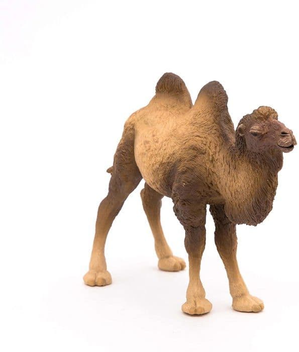 Bactrian Camel Figurine - PAPO - WILD LIFE - Brun - Inomhus - Barn