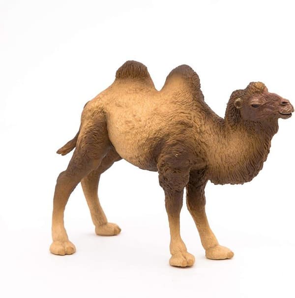 Bactrian Camel Figurine - PAPO - WILD LIFE - Brun - Inomhus - Barn