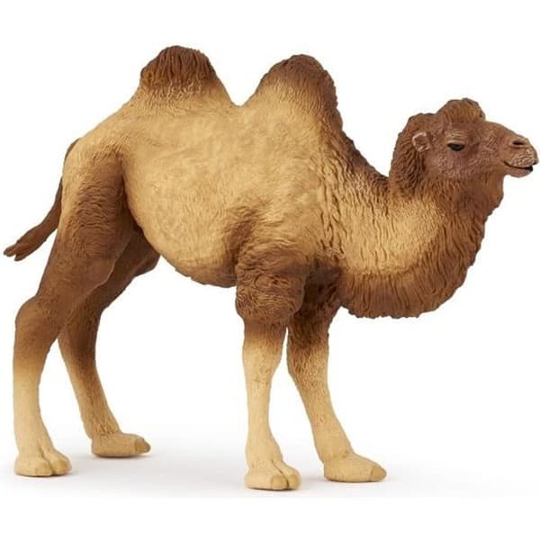 Bactrian Camel Figurine - PAPO - WILD LIFE - Brun - Inomhus - Barn
