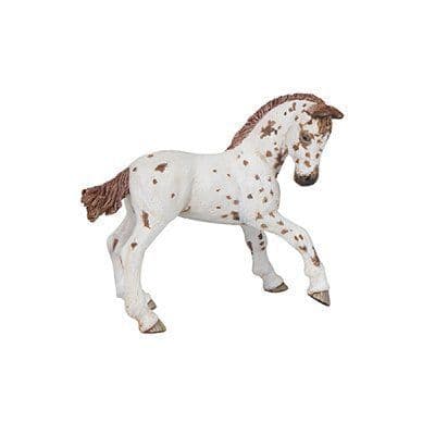 Apaloosa föl