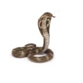 Miniatyrbild 1 av 2: Royal Cobra Figurine - PAPO - LA VIE SAUVAGE - Blandat - Från 3 år