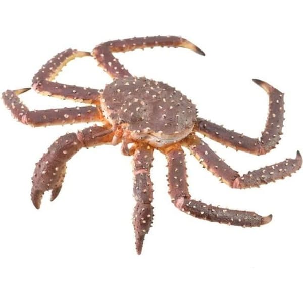 Marindjursfigur - Kungskrabba - Handmålad - 12,4 x 3,6 cm - Unik - Blandat