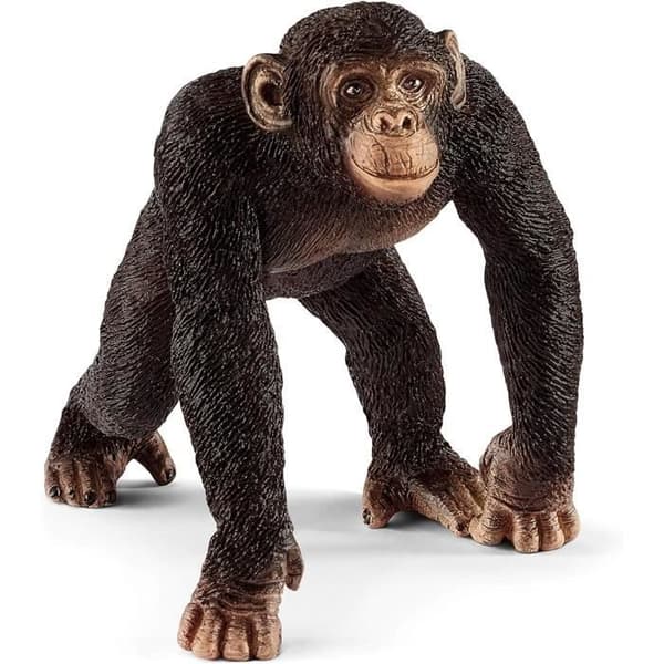 Figurines Wild Life Basic Kit, 4 ultrarealistiska figurer, leksak för barn från 3 år och uppåt, Schleich 42387 Wild life