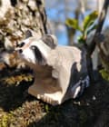 Miniatyrbild 3 av 4: Wudimals - Raccoon Figure - K-PLAY