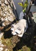 Miniatyrbild 2 av 4: Wudimals - Raccoon Figure - K-PLAY