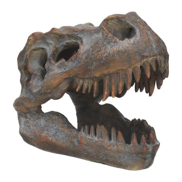 Dekoration - Tyrannosaurus Rex - Skalle Fristående 16cm - Brun - Inomhus - Vuxen