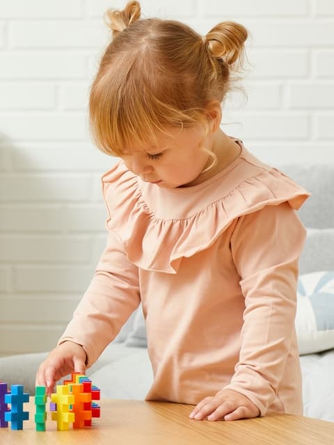 Plus-Plus BIG Learn to Build