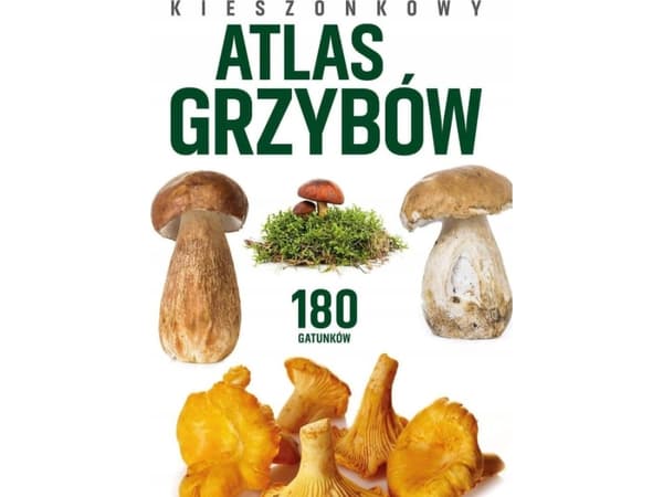 Peggy Diggledey Pocket Atlas of Mushrooms (Sieni-atlas)