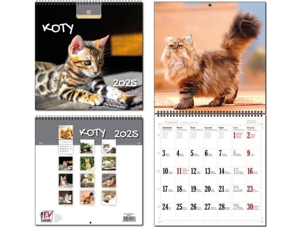 Kalender 2025 30x60 13 kartong Katter EDUKAMP