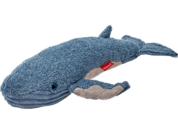 Blue fin whale 13894 21137