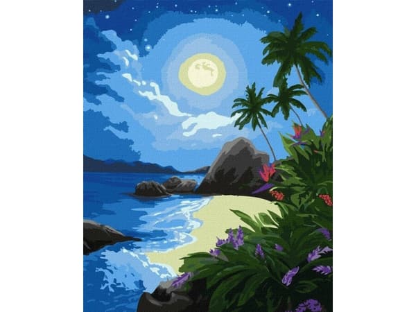 Maleri etter tall - Månelys natt 40x50cm