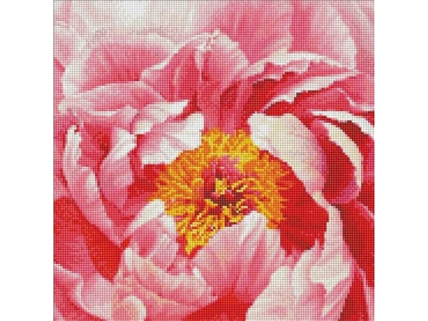Diamantmosaikk - Fargerik Peon 40x40cm