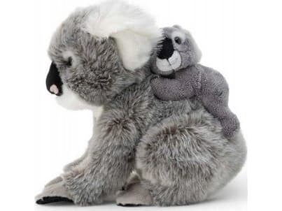 Dante Koala lapsen kanssa