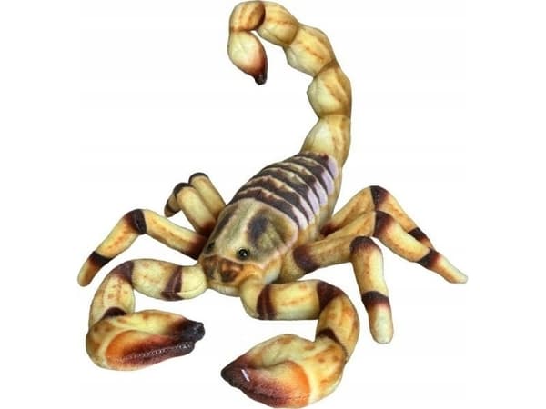 Dubi Scorpion 41cm
