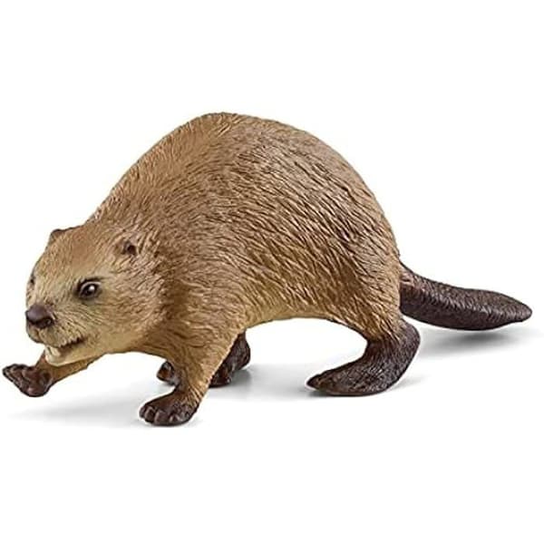 Figurin - SCHLEICH - 14855 - Bäver - Flerfärgad - 10 x 3 x 3 cm