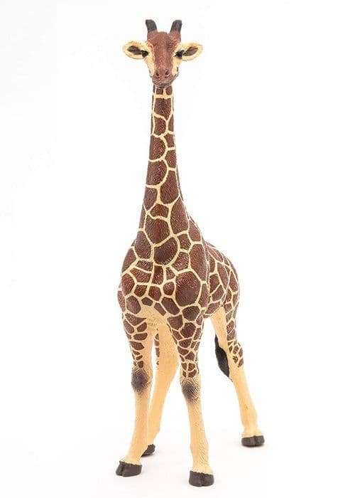 Manlig girafffigur - PAPO - LA VIE SAUVAGE - Inomhus - Blandat - 3 år