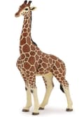Miniatyrbild 5 av 6: Manlig girafffigur - PAPO - LA VIE SAUVAGE - Inomhus - Blandat - 3 år