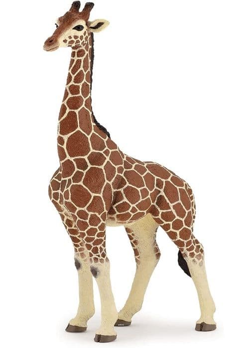 Manlig girafffigur - PAPO - LA VIE SAUVAGE - Inomhus - Blandat - 3 år
