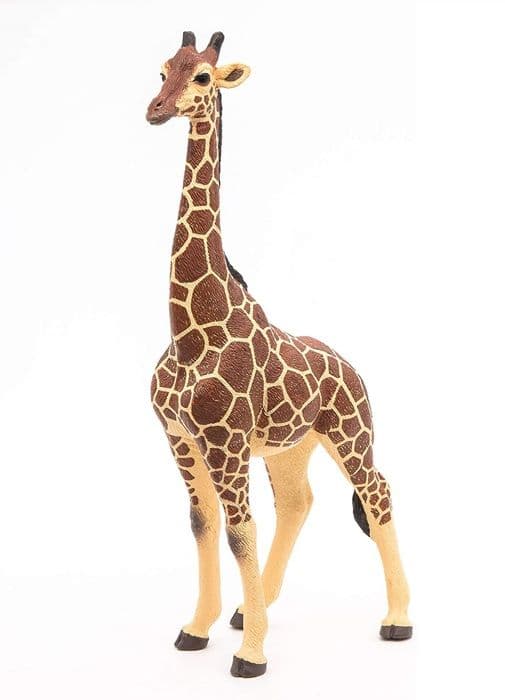 Manlig girafffigur - PAPO - LA VIE SAUVAGE - Inomhus - Blandat - 3 år