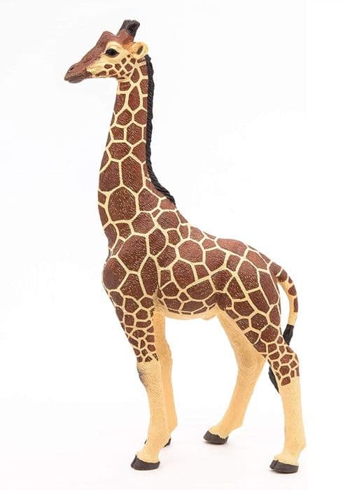 Manlig girafffigur - PAPO - LA VIE SAUVAGE - Inomhus - Blandat - 3 år