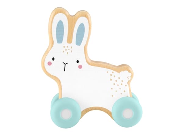 Fisher-Price Wooden Push-Along Bunny, 6 måned(er), 4 hjul, Blå, Hvit, Tre