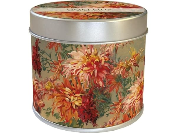 Duftende oransje stearinlys dahlia - duften av fersken