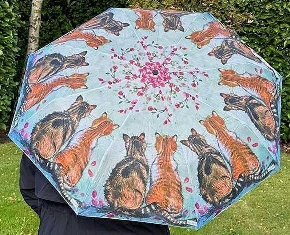 Paraplykatter og blomster